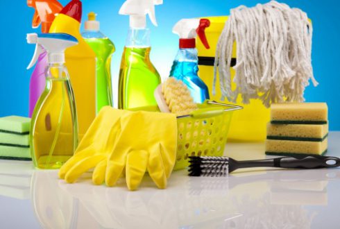 Limpeza industrial e jardinagem